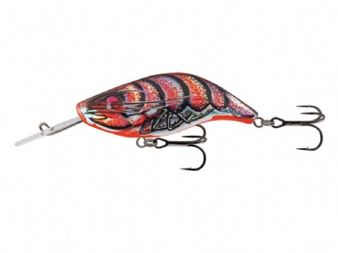 HOLOGRAPHIC CRAWDAD