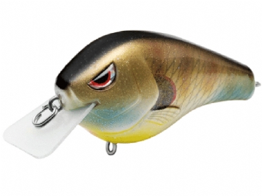 BLUEGILL