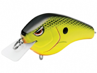 CHARTREUSE BLACK BACK