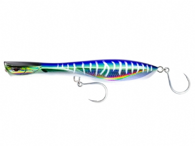SPANISH MACKEREL