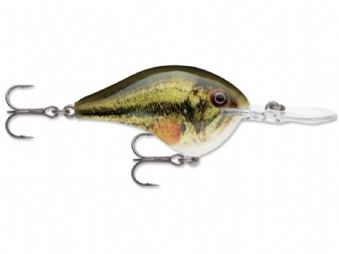 LIVE LARGEMOUTH BASS