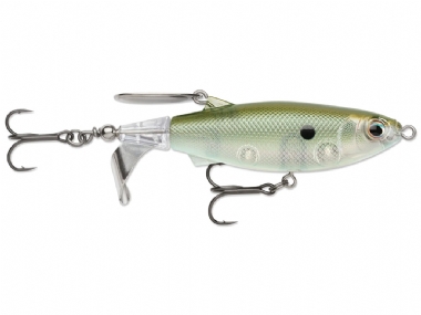 GREEN GIZZARD SHAD
