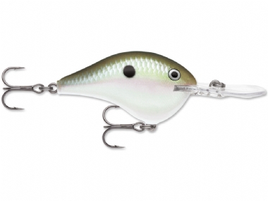 GREEN GIZZARD SHAD