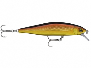 GOLDEN ALBURNUS