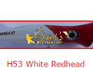 WHITE REDHEAD (H53)
