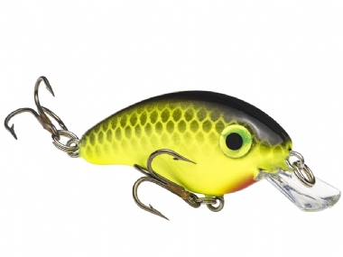 CHARTREUSE WITH BLACK BACK