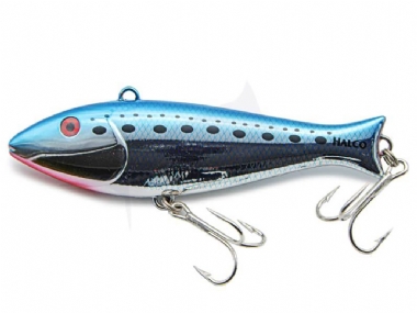 PILCHARD (H50)