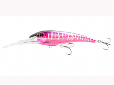 HOT PINK MACKEREL