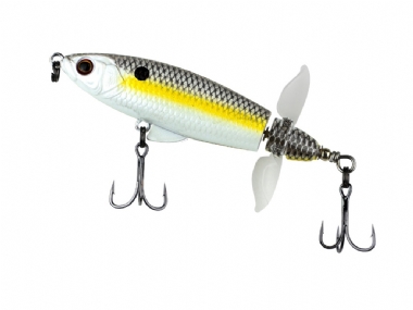 PRETTY SHAD