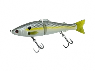 PRETTY SHAD