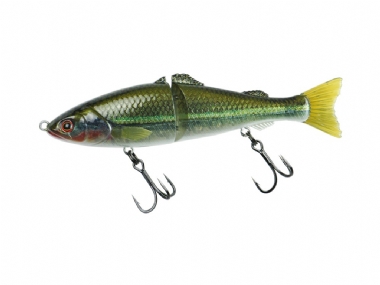 BASS HOLOGRAM