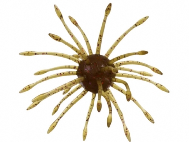 GREEN PUMPKIN COPPER/PURPLE #330