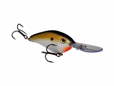 TN SHAD