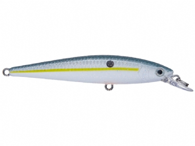 SEXY SHAD