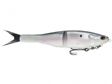 HICKORY SHAD