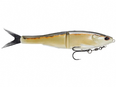 GOLD SHAD