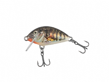 HOLO STICKLEBACK