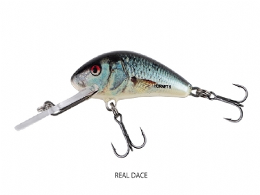 REAL DACE