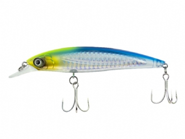 HOT SARDINE