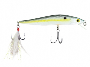SEXY SHAD
