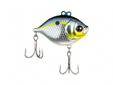 SEXY SHAD