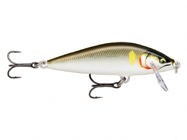 GILDED SILVER SHAD
