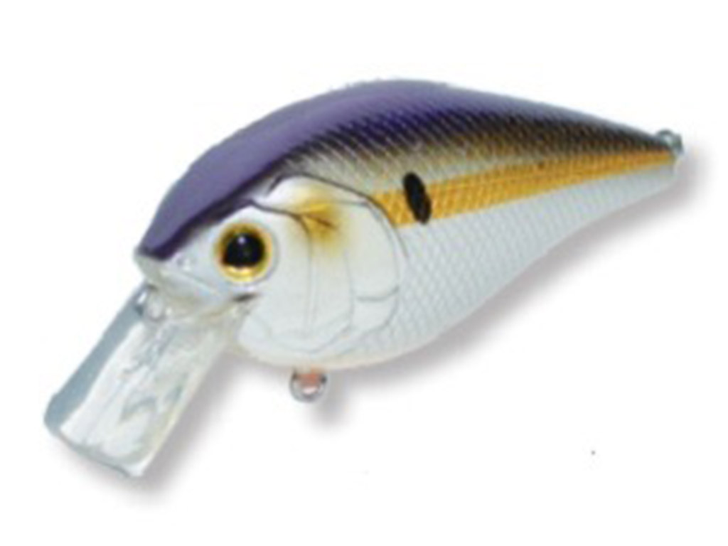 Pro Bass Crush 50X Custom Bluegill