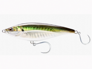 OLIVE BLACK SHAD