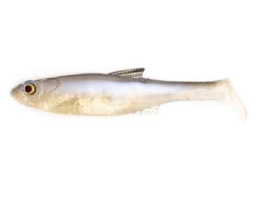 BLACKBACK SHAD