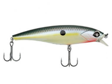 SEXY SHAD