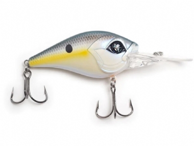 SEXY SHAD