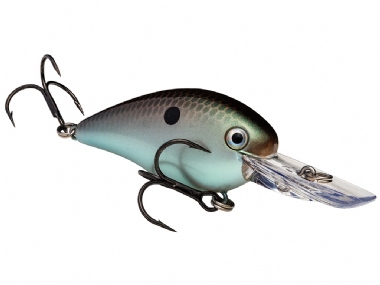 GREEN GIZZARD SHAD