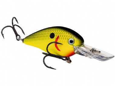 BLACK BACK CHARTREUSE