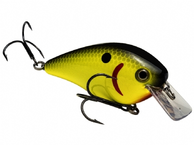 CHARTREUSE WITH BLACK BACK