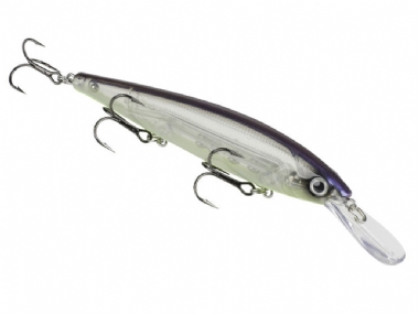 STROBE SHAD
