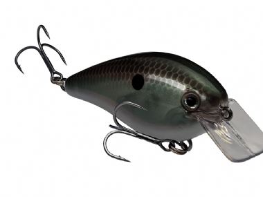 GREEN GIZZARD SHAD