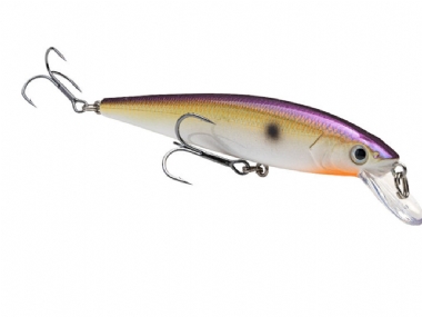 TENNESSEE SHAD