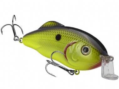 CHARTREUSE BLACK BACK
