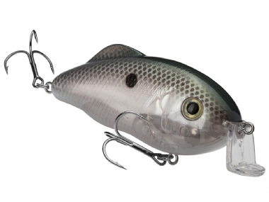 GREEN GIZZARD SHAD
