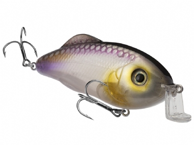 CLEARWATER MINNOW