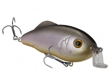 SWEET SHAD