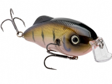 GHOST GILL